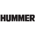 Gauge Cluster-Hummer